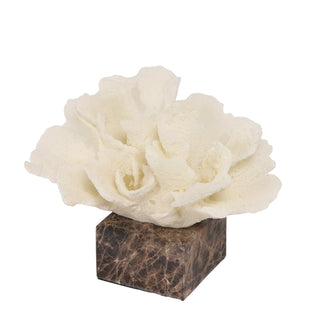 Connor Beige Coral