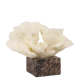 Connor Beige Coral
