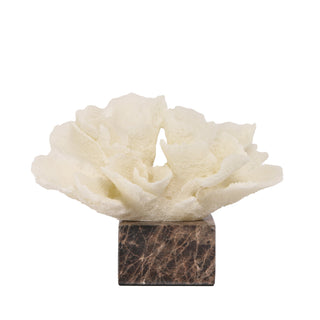 Connor Beige Coral