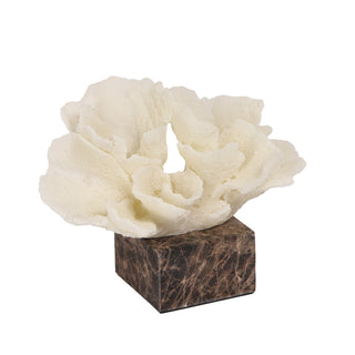 Connor Beige Coral