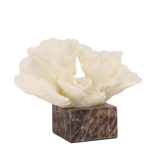 Connor Beige Coral