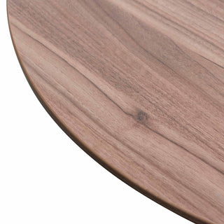 Carlton Black Walnut
