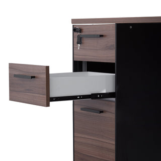 Sophie Desk Black Walnut